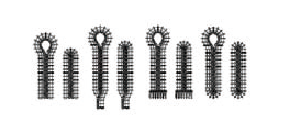 طرح دوخت چرخ خیاطی صنعتی سیروبا